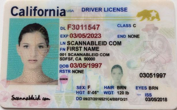The most effective way to take a great photo of your fake identity!