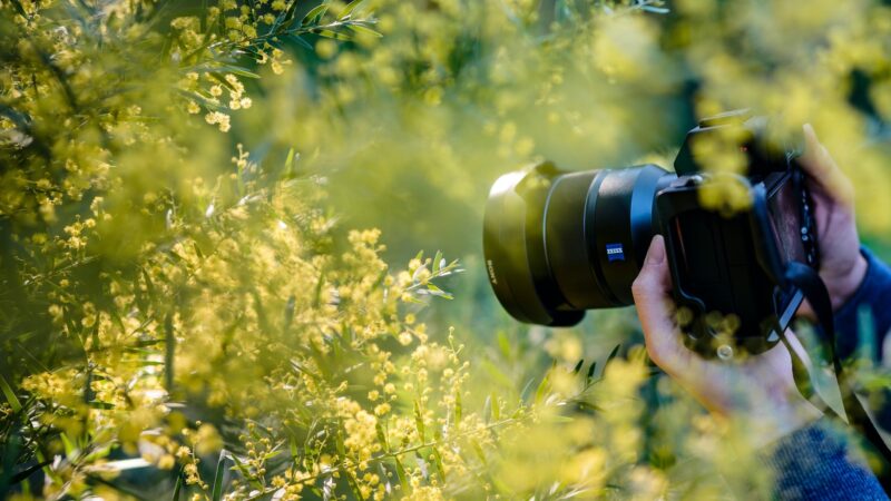 headshot photographer