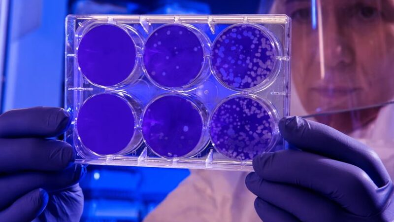 Peptides