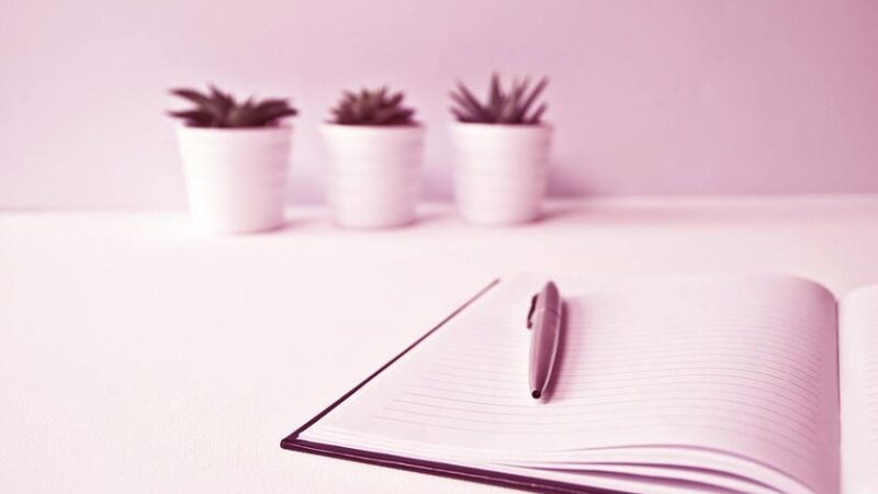Essay Writing