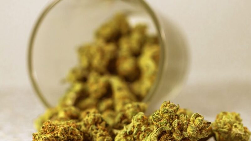 THC O