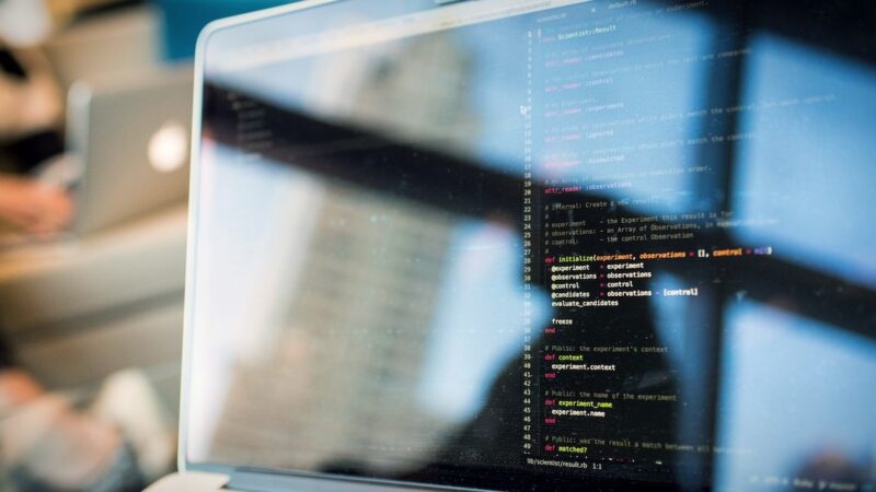 WPF Developer