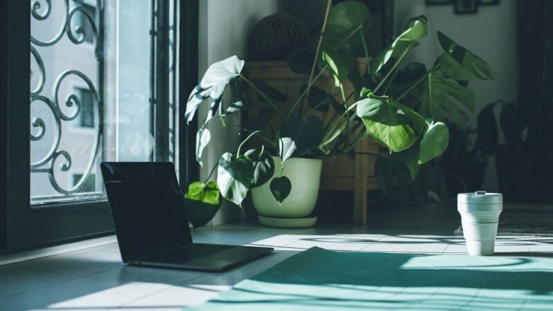 Indoor Air Quality