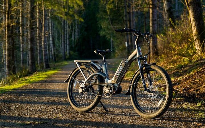 Electric Bike Frames