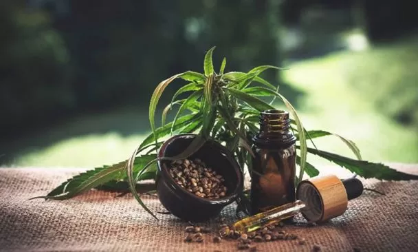 Advantages and differences of products with Delta 8 and Delta 9