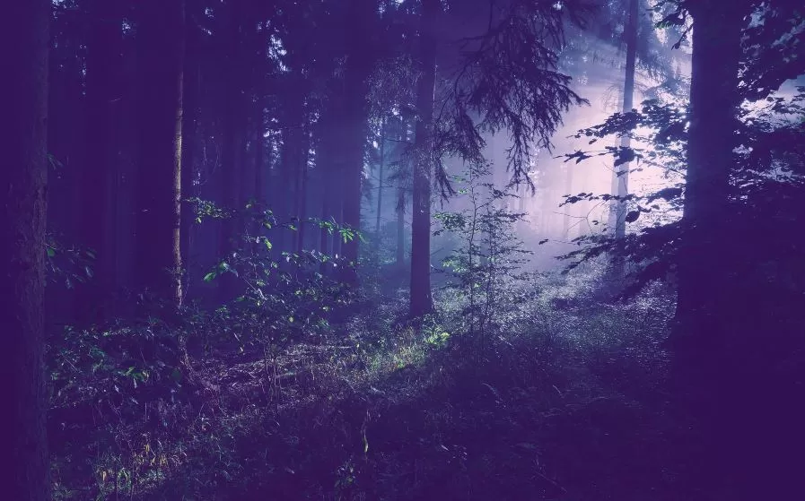 Backpacking in the Ozarks National Forest