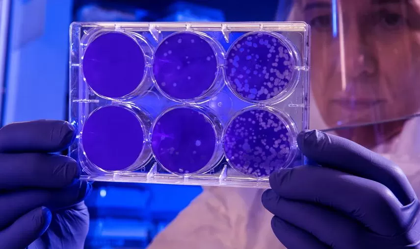 Viral Disease-Fighting Peptides