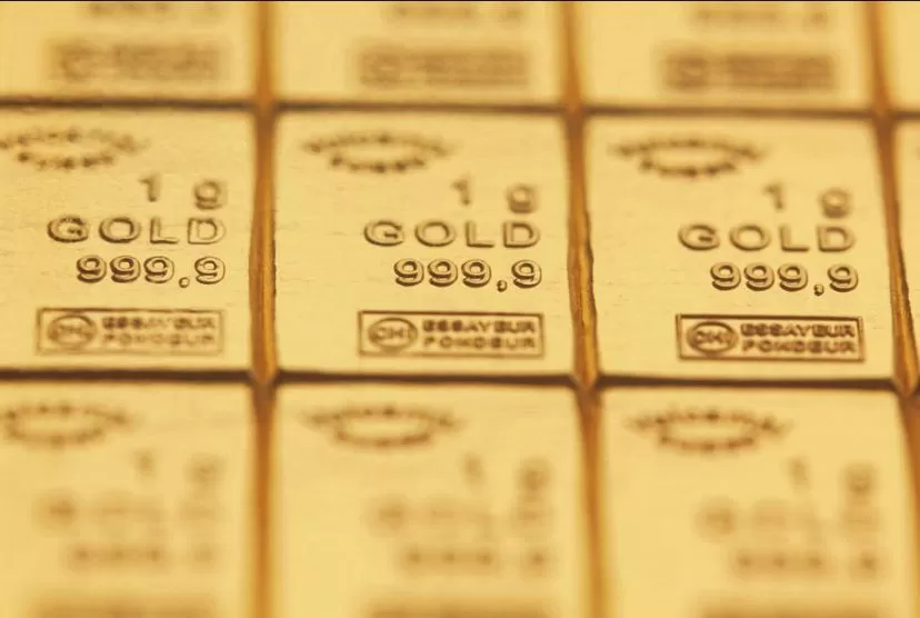 A Full Financial Guide on the Precious Metals Investment Process