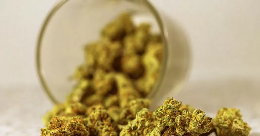 Effects Of THC O On Men Vs. Women