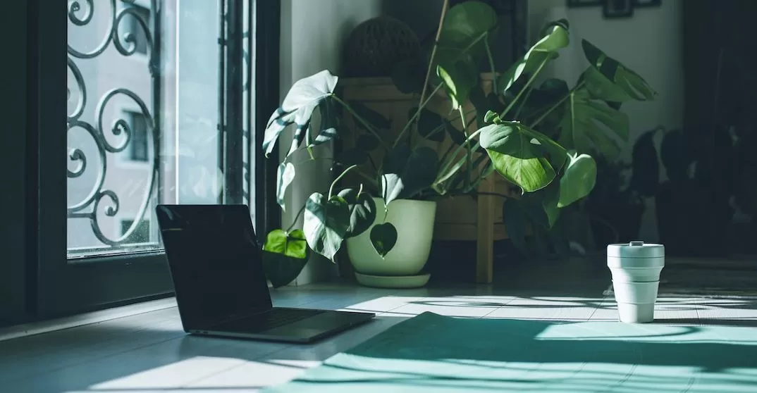 How to Improve Indoor Air Quality