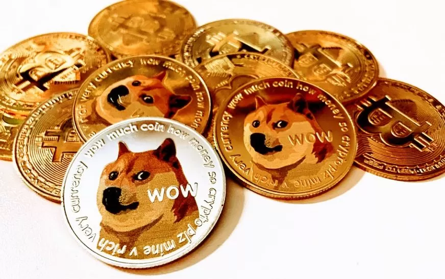 Investors’ Guide on How to buy DogeCoin