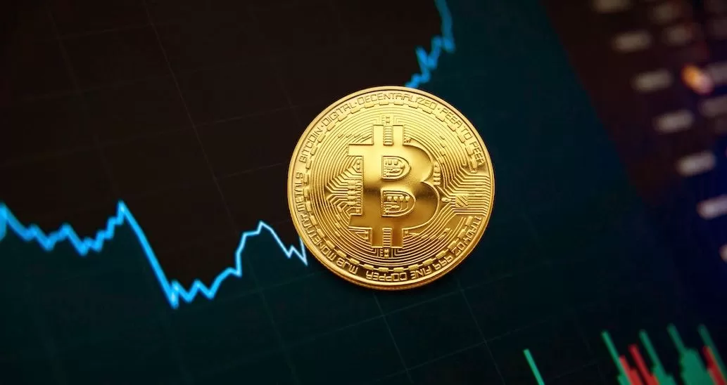 The Stock Market and Bitcoin: Parallels and Disparities