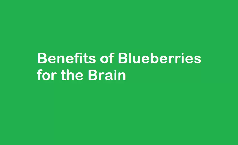 Benefits of Blueberries for the Brain