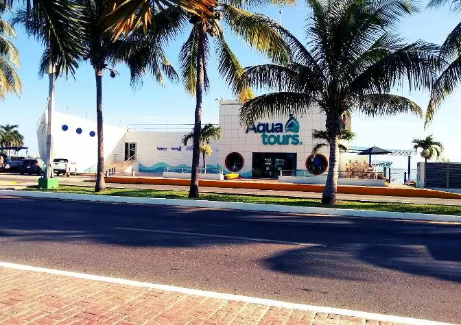 Pacific Surf School Marks a Milestone with Over 200,000 Students Since Its Inception in 1997